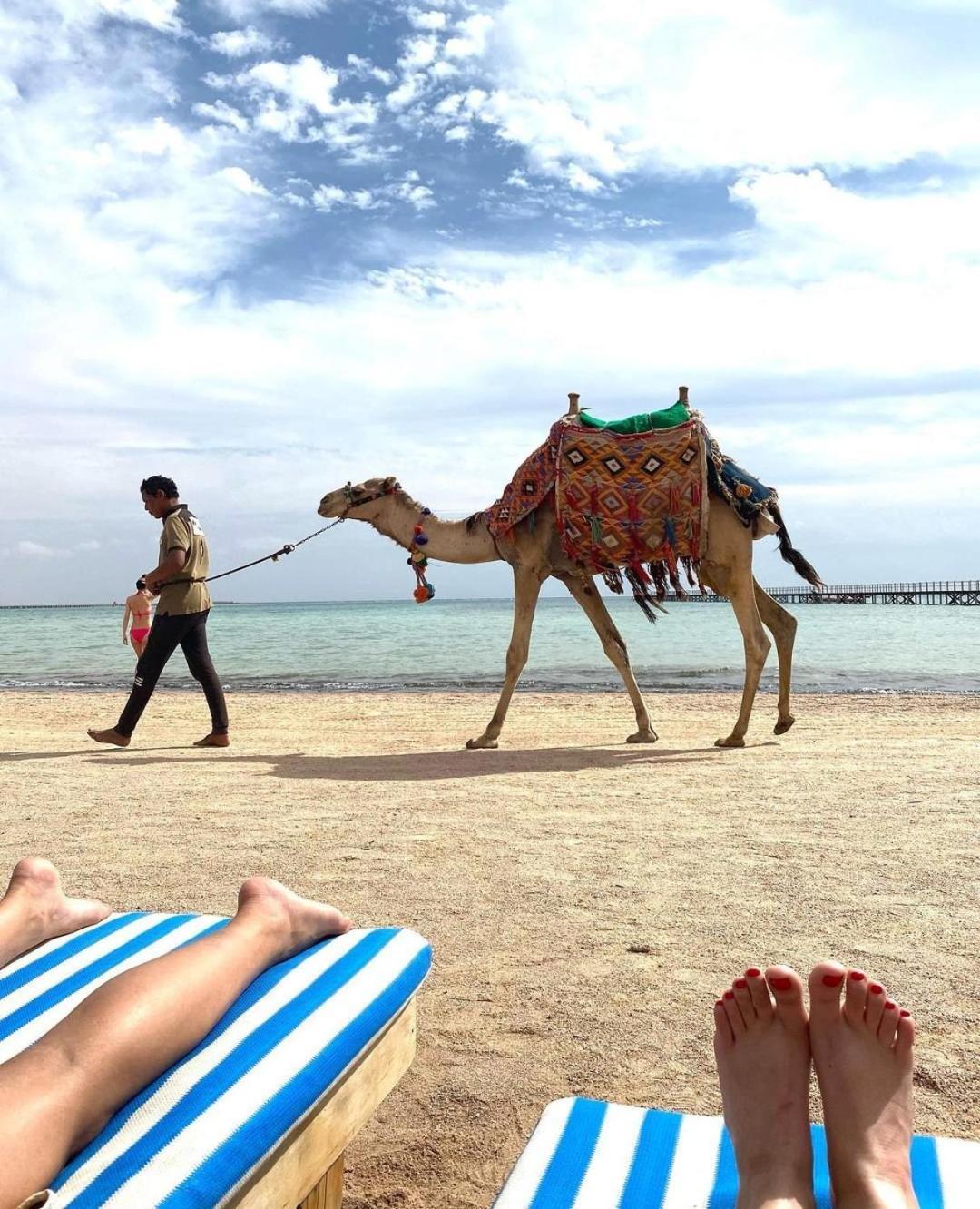 Romance Regency Club (Adults Only) Sharm el-Sheikh Bagian luar foto